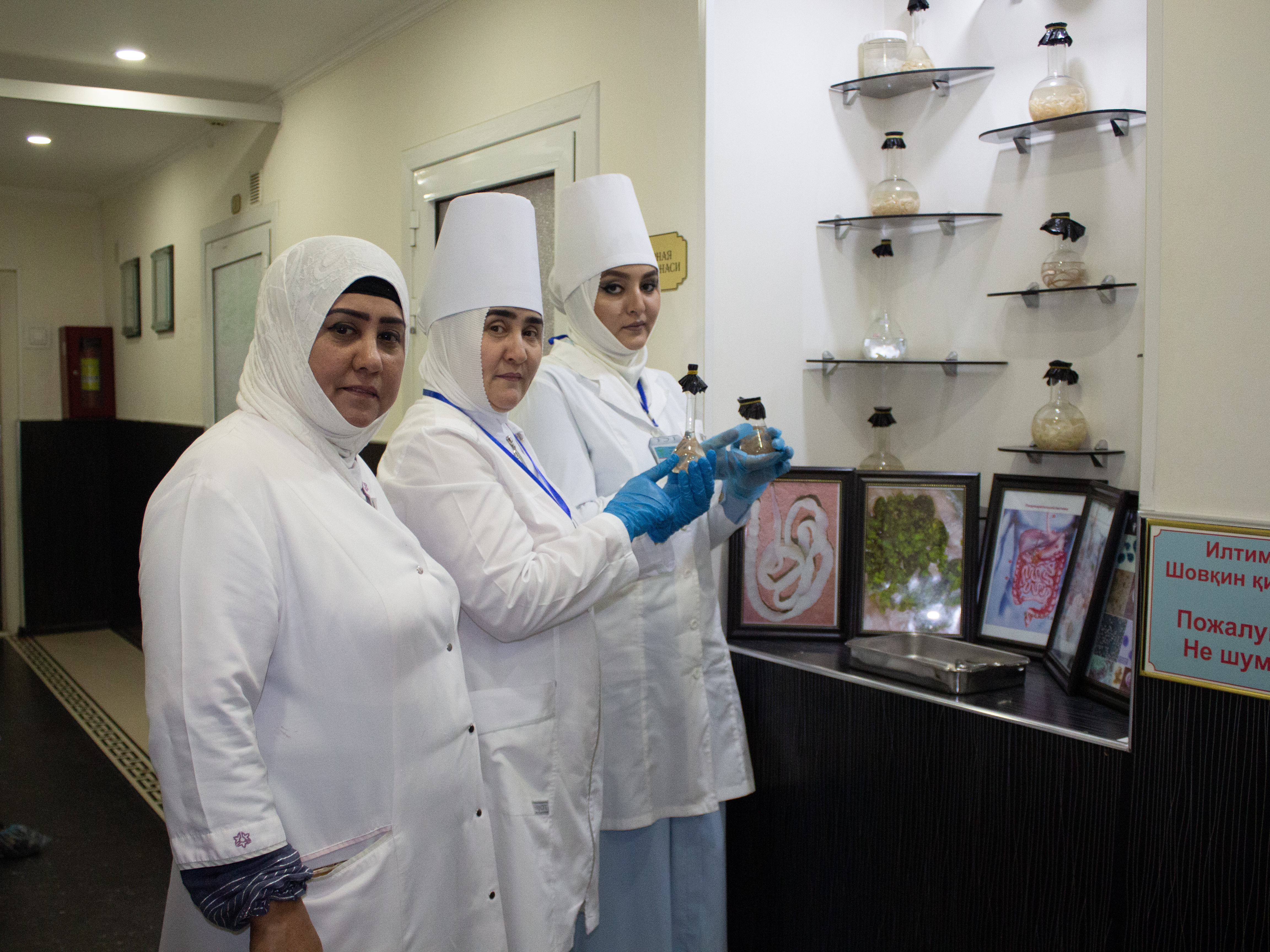 About Asror Tib Servis